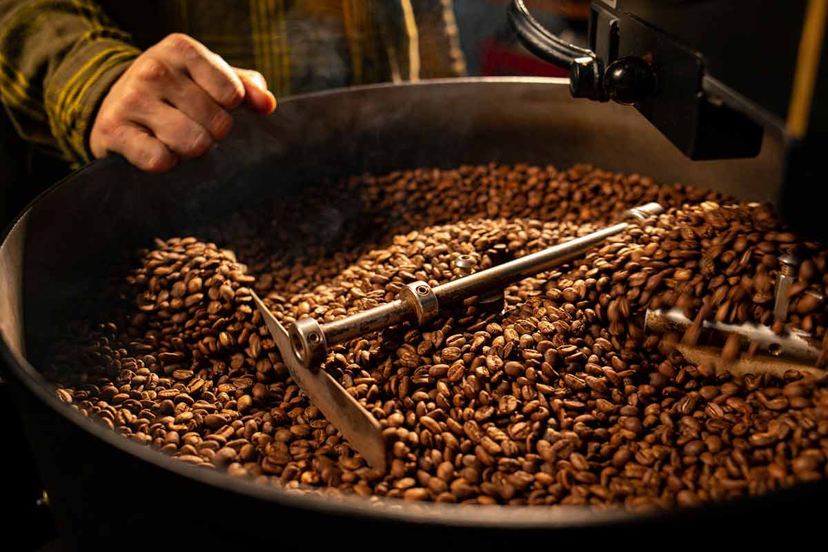 A close-up of coffee beans at Pacific Crest in Truckee.